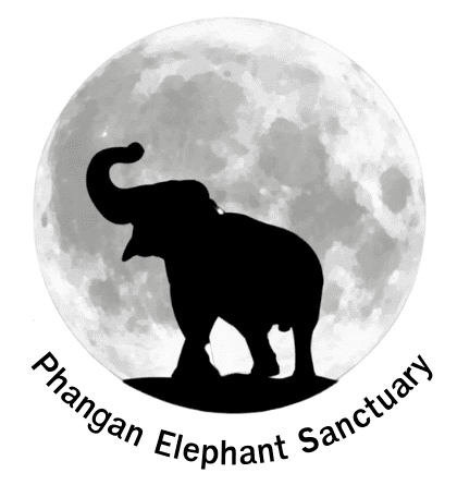 Contact Us - Phangan Elephant Sanctuary