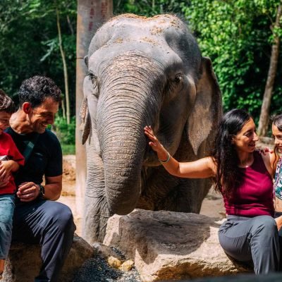 Elephant Tour Koh Phangan